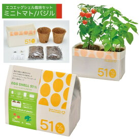 聖新陶芸 エコエッグシェル 栽培セット 2種あり(ミニトマト/バジル ミニトマト/ミニキャロット )【栽培キット 野菜 観葉植物 プチギフト 退職 送別会 卒業 ギフト お返し バレンタイン 挨拶 お礼 粗品 景品 誕生日】