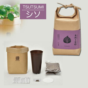 V| TSUTSUMI 3킠(V\ Ot lM )y͔|Lbg  ϗtA v`Mtg ސE ʉ  Mtg Ԃ o^C A  ei ii az