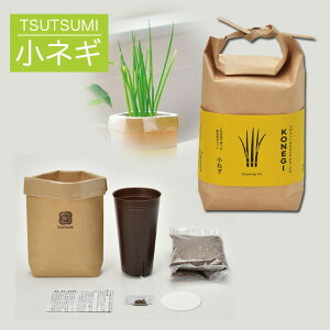 V| TSUTSUMI 3킠(V\ Ot lM )y͔|Lbg  ϗtA v`Mtg ސE ʉ  Mtg Ԃ o^C A  ei ii az