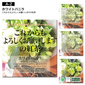 ypart1zXieB[ MLESNA TEA L[u{bNX cube box 40yXi g eB[obO v`Mtg v[g ސE ʉ  Mtg Ԃ A  ii a ei z ̓ 