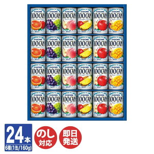 JS@t[cW[X Mtg ( FB-30G ) 24{yW[X KAGOME 100CAN 100W[X Mtg Ε Ε 䒆  Ԃ oYj j Vzj o N  