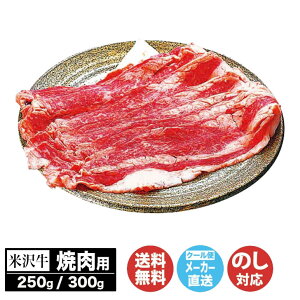 đ ēp250g(GA-351)/300g(GA-401)yR` uh  BBQ Ă Y O n Mtg i 蕨 Ε  j j Ԃ  A ̓ ̓ hV̓ yY 