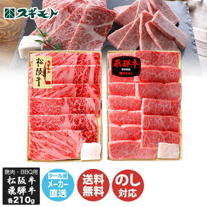 XMg ㋍Eˋ ē Hה Zbg (MHA-Y100F)yXMg É uh  Ă BBQ n Mtg i 蕨 Ε Ε 䒆  j N ̂Ή 