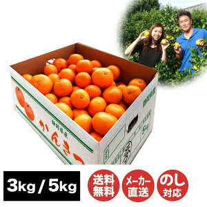 yP15{ 11/10zy12{`1{zÉ ݂ 3kg(SAM-242A) / 5kg(SAM-201C)yt[c  É  ݂ Gi x  Yi Ε j j  a Yn 