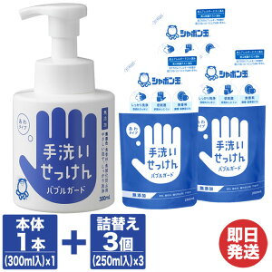 V{ ouK[h {1{(300ml×1){lւ3(250ml×3)Zbgy􂢐΂ Ό nh\[v E   w A^Cv Y { V{ʖ{   ސE 