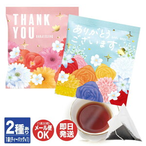 FIORE(tBI[) eB[obO 2킠yg a TOWA v`Mtg ސE ʉ Mtg v[g Ԃ A  ei ii  z a  vXMtg zCgf[z