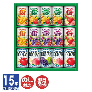JS ₩t@~[Mtg ( 15{ ) ( KSR-20P ) yW[X ؐ100 KAGOME  Mtg Ε 䒆  Ԃ oYj j Vzj o N   