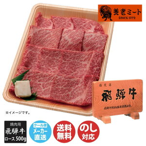 ˋ [X ĂEBBQp 500gyHKLY8-500Czy  {V~[g ē BBQ o[xL[ ˋ uh [X   䒆 MtgΕ j  a ̓ ̓ h