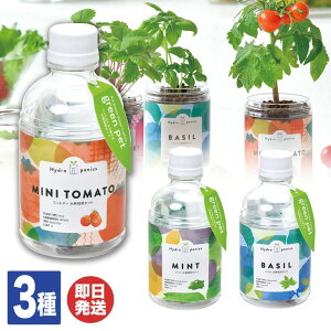 V| ĂO[ybg 3킠(~g oW ~jg}g)y͔|Lbg  ϗtA v`Mtg ސE ʉ  Mtg Ԃ o^C A  ei ii az