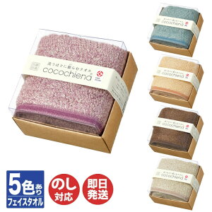 @H RRL[u 2cocochiena RR`Gi tFCX^I(34×80cm) 5Fy^I z z  pCv`Mtg ސE ʉ  Mtg v[g Ԃ o^C A 