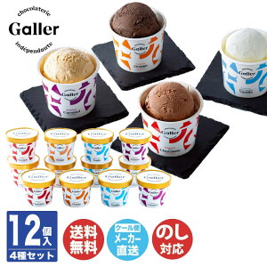 y\ 2025/12/17܂ŁzK[v~A ACXN[ 12Zbg (GLN-12)yACXN[ XC[c Ε j j oYj j Mtg A  yY a N  