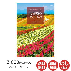 y|CgAbv 2{zJ^OMtg n[jbNkĈ 3,000~R[X(HDO-G)yJ^O Mtg Ε Ε ԂoYj j Vzj o j 䒆 