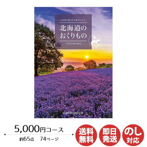 J^OMtg n[jbNkĈ 5,000~R[X(HDO-C)yJ^O Mtg Ε Ε ԂoYj j Vzj o j 䒆   TԂ O