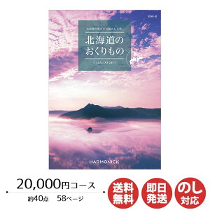 y|CgAbv 2{zJ^OMtg n[jbNkĈ 20,000~R[X(HDO-B)yJ^O Mtg Ε Ε ԂoYj j Vzj o j 䒆 