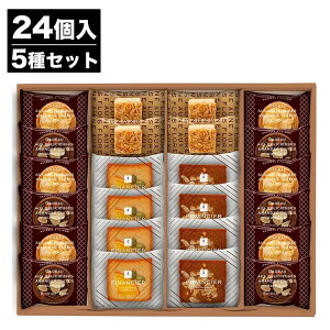 䌅 Kg[TN 16 / 24ytBiVF ĉَq XC[c v`Mtg 䒆  Ε j Mtg v[g o^C A  a yY yY  ސE ̓ 