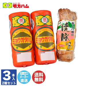 n Mtgn2{ ē 1 (FMH-01)yn ē  Mtg i 蕨 Ε  j j Ԃ  A ̓ ̓ n  Z S   z