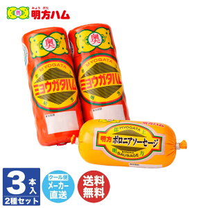 n Mtgn2{ {jA 1{ (FSH-01)yn \[Z[W  Mtg i 蕨 Ε  j j Ԃ  A ̓ ̓ n  Z S  