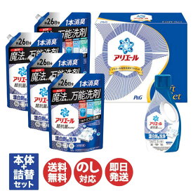 P&G アリエール 液体洗剤 セット（PGLA-50E)【洗剤 洗濯洗剤 衣料用洗剤 ギフト 御歳暮 お歳暮 お返し 出産内祝 結婚内祝 新築内祝 引き出物 お年賀 寒中見舞 御中元 お礼】