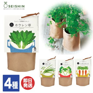 観葉植物 野菜 セット 種の人気商品 通販 価格比較 価格 Com 観葉植物 野菜 セット 種の人気商品 通販 価格比較 価格 Com