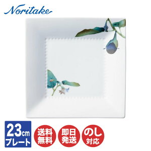 m^P { 23cmXNGAv[giΉ֎qj1620-5L/T94542y M M lp p^ pM Zbg Noritake Ԃ Mtg j oYj j j Cj j o zj Vzj 