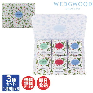 EFbWEbh ChXgx[ eB[obO(WSN-10TB)yg WEDGEWOOD v`Mtg ii ei  Ԃ  Ε j j oYj Mtg A  yY a ̓ ̓