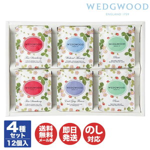 yP10{ 10/30zEFbWEbh ChXgx[ eB[obO Zbg12( WEWT-12 )yg WEDGEWOOD v`Mtg ii ei  Ԃ  Ε j j oYj Mtg A 