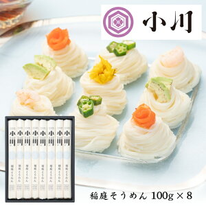 Hcu낤ǂ v낻߂ 100g×8 VS-30y݁z