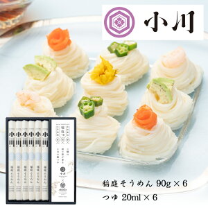 Hcu낤ǂ v낻߂ 90g×6E 20ml×6 VST-30y݁z