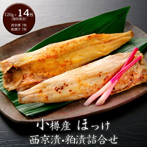 sGg[Ń|Cg5{IyVX[p[SALEԒtyΕ(Ε)Mtg2025ɂIzMY قЁEЋl (14)[][jEoYjEjECj 