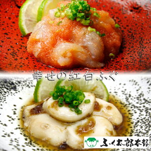 sGg[Ń|Cg5{IubNtCf[ԒtyΕ(Ε)Mtg2025ɂIzK̍gӂyYӂgpIӂwӂY{xzm][HT[N]