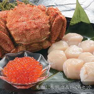 sGg[Ń|Cg5{IubNtCf[ԒtyΕ(Ε)Mtg2025ɂIzтɁZbguk̖Ek̊CN߂Mtgv[][HT[N