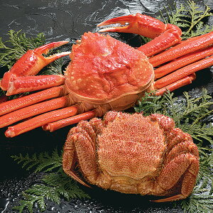 킢ɁEтɃZbguk̖Ek̊CN߂Mtgv[][HT[N]