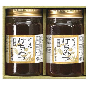 sGg[Ń|Cg5{IubNtCf[ԒtyΕ(Ε)Mtg2025ɂIzuK{IvYSԖI[][jEoYjEjECj Ԃ M