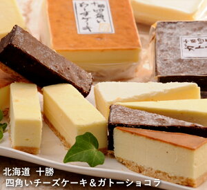 sGg[Ń|Cg5{IubNtCf[ԒtyΕ(Ε)Mtg2025ɂIzkC \ lp`[YP[LKg[VR[jEoYjEjECj