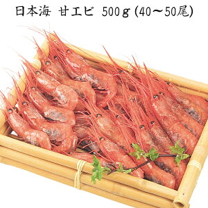 yΕ(Ε)Mtg2025ɂIz{C ÃGr[jEoYjEjECj Ԃ MtgɂI][HT[N]