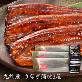 楽天市場 九州産 うなぎの通販