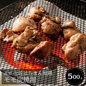 sv|Cg9{I11/16܂ŁtyΕ(Ε)Mtg2025ɂIzm y͂n{ Yėp (500g)mn[jEoYjEjECj Ԃ MtgɂI][