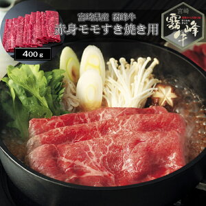 yΕ(Ε)Mtg2025ɂIz{茧Y  ԐgĂpi400gjmn[jEoYjEjECj Ԃ MtgɂI][HT[N]