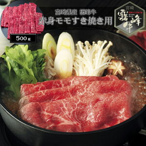 yΕ(Ε)Mtg2025ɂIz{茧Y  ԐgĂpi500gjmn[jEoYjEjECj Ԃ MtgɂI][HT[N]