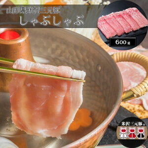 yΕ(Ε)Mtg2025ɂIzR`đO Ԃԁi600gjmn[jEoYjEjECj Ԃ MtgɂI][HT[N]