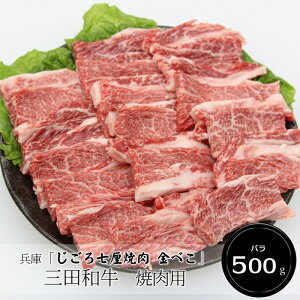 Ɂu뎵Џē ׂvOca@ēpio500gjmn[jEoYjEjECj Ԃ MtgɂI][HT[N]