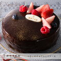 クリスマスケーキ 予約 19 ミュゼ ドゥ ショコラ テオブロマ ショコラフランボワーズ のし 包装不可 Ocruyo オクルヨ