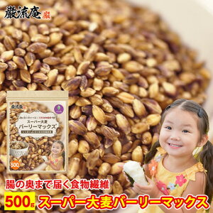  JY[U[Ɗw ŏЉ! X[p[唞 o[[}bNX 500g H@ WX^gX^[` nCW 唞    G ͂Ɣ I[c  肨 Jbg 