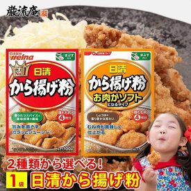 唐揚げ粉 からあげ粉 日清 から揚げ粉 送料無料 2種類 から 選べる 1袋 お肉がソフトになるタイプ 粉 衣 簡単 便利 日清フーズ 調味料 500円 ポッキリ お試し