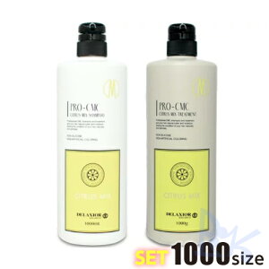 fNVI v CMC VgX~bNX Vv[  g[gg 1000TCYZbg |v^Cv cw (Yx[XƂCgȊkn̍)