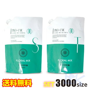 @fNVI v CMC t[~bNX Vv[  g[gg 3000TCYZbg