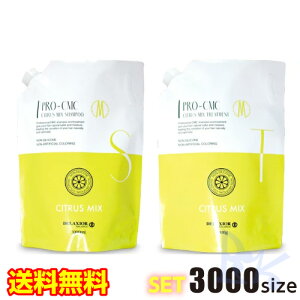  fNVI v CMC VgX~bNX Vv[  g[gg 3000TCYZbg lւ