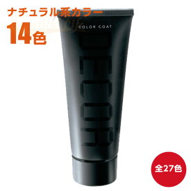 ヘアマニキュア イリヤ カラーコートデコレ 160g ナチュラル系カラー14色 全27色 【IRIYA COLOR COAT DECOR】【カラーデコレ 業務用　プロ用　サロン専売 ヘアカラー】