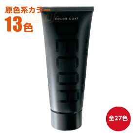 ヘアマニキュア イリヤ カラーコートデコレ 160g 原色系カラー13色 全27色 【IRIYA COLOR COAT DECOR】【カラーデコレ 業務用　プロ用　サロン専売 ヘアカラー】