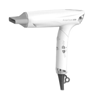 maxell Angelique Pro MXDR-P1000WH zCg }NZ AWF[N v vtFbVihC[ vXCI }CiXCI wAhC[@